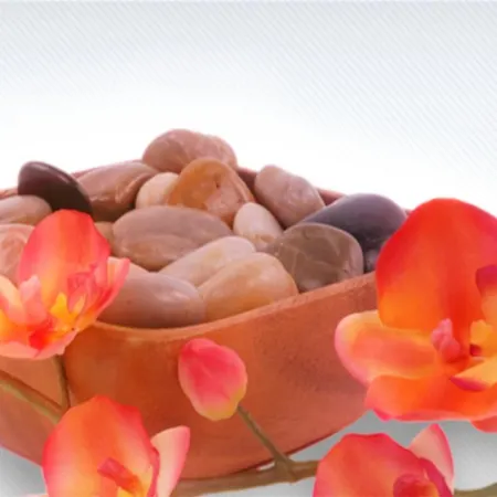 Aparthotel Hr Vapore Gatteo Mare