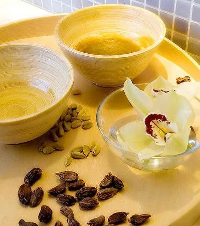 Aparthotel Hr Vapore Gatteo Mare *