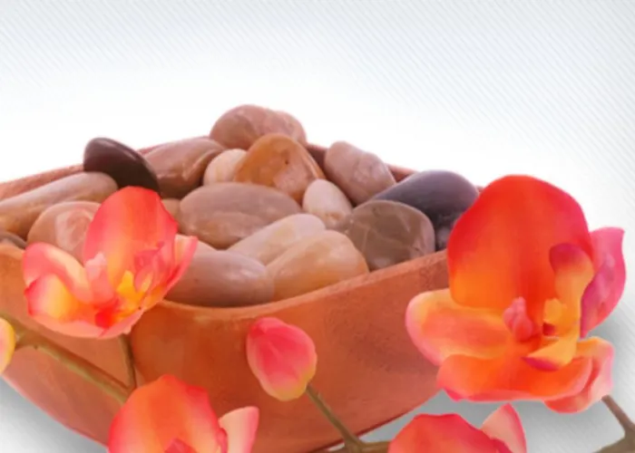 Lägenhetshotell Hr Vapore Gatteo Mare